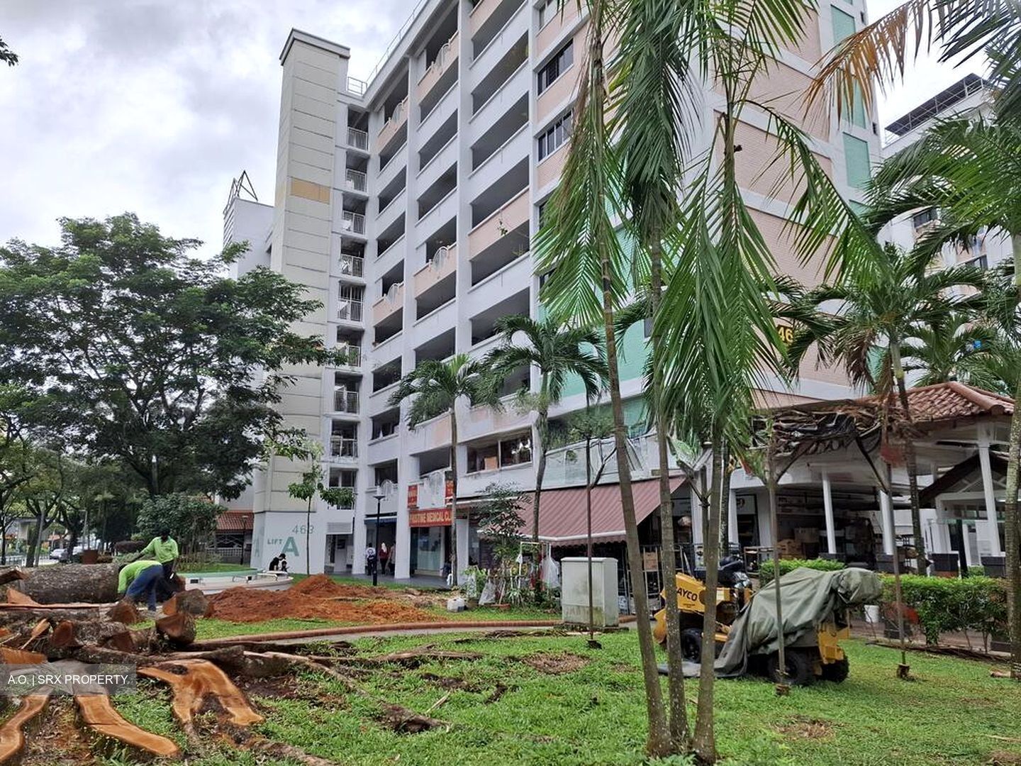 Hong Kah Ville (D22), Shop House #514660801